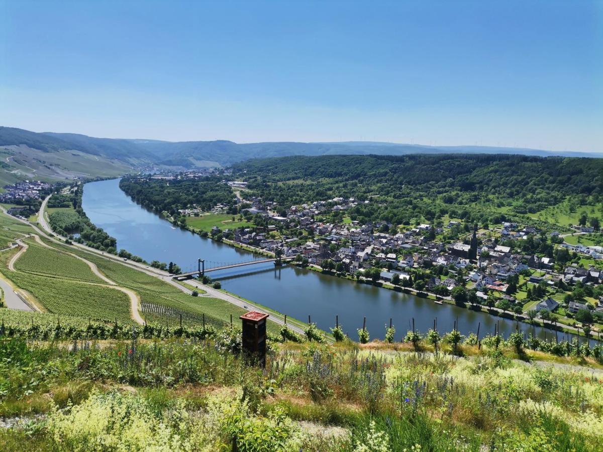 Sonnenufer Apartment&Moselwein I Bernkastel-Kues Exterior foto